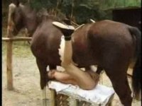 Порка девушки с конем